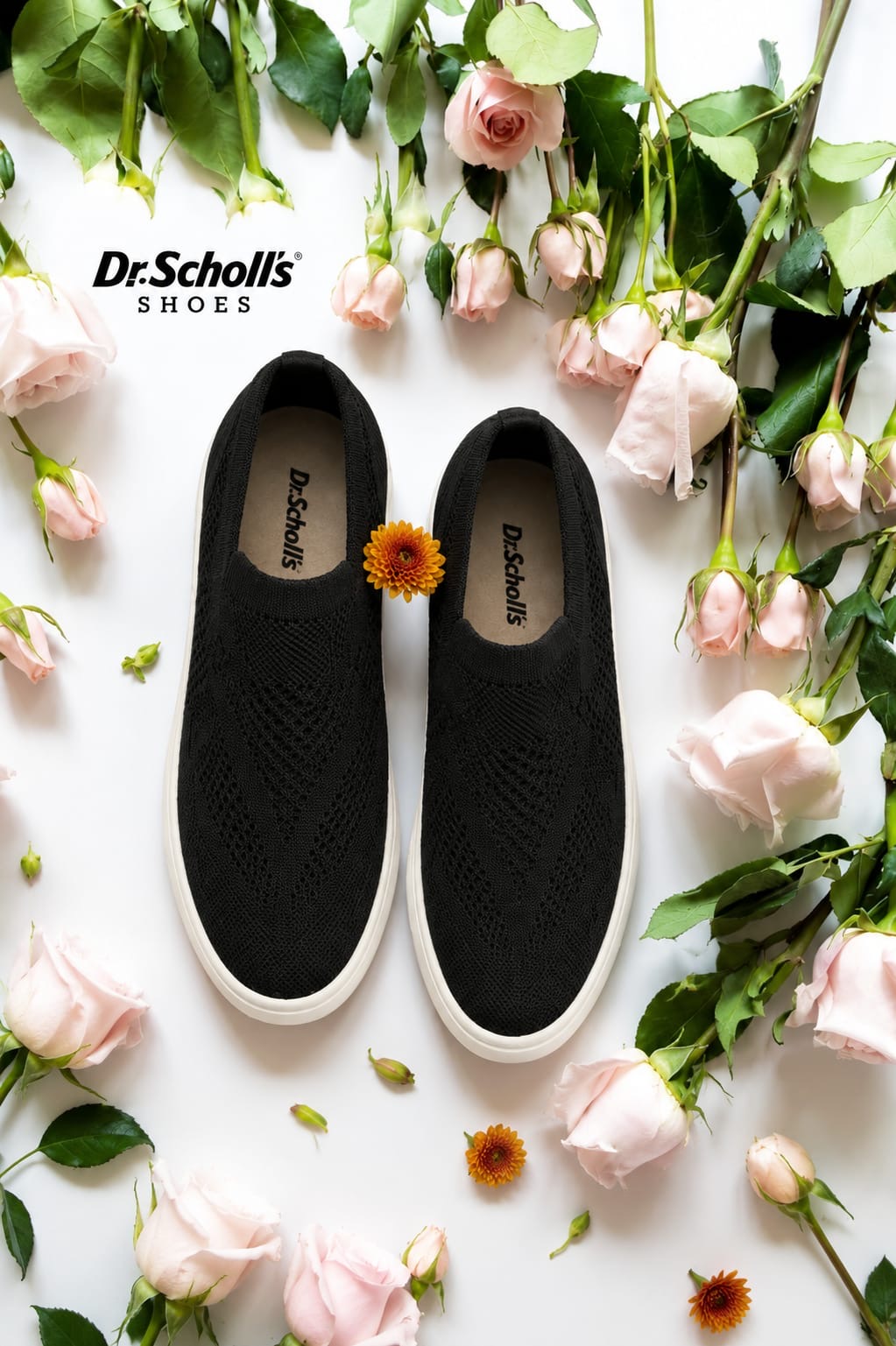 Dr. Scholls